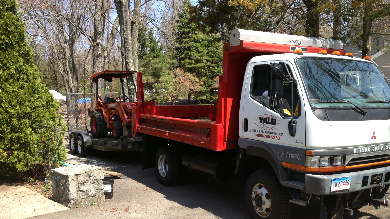 Anosnia pest control, Ansonia