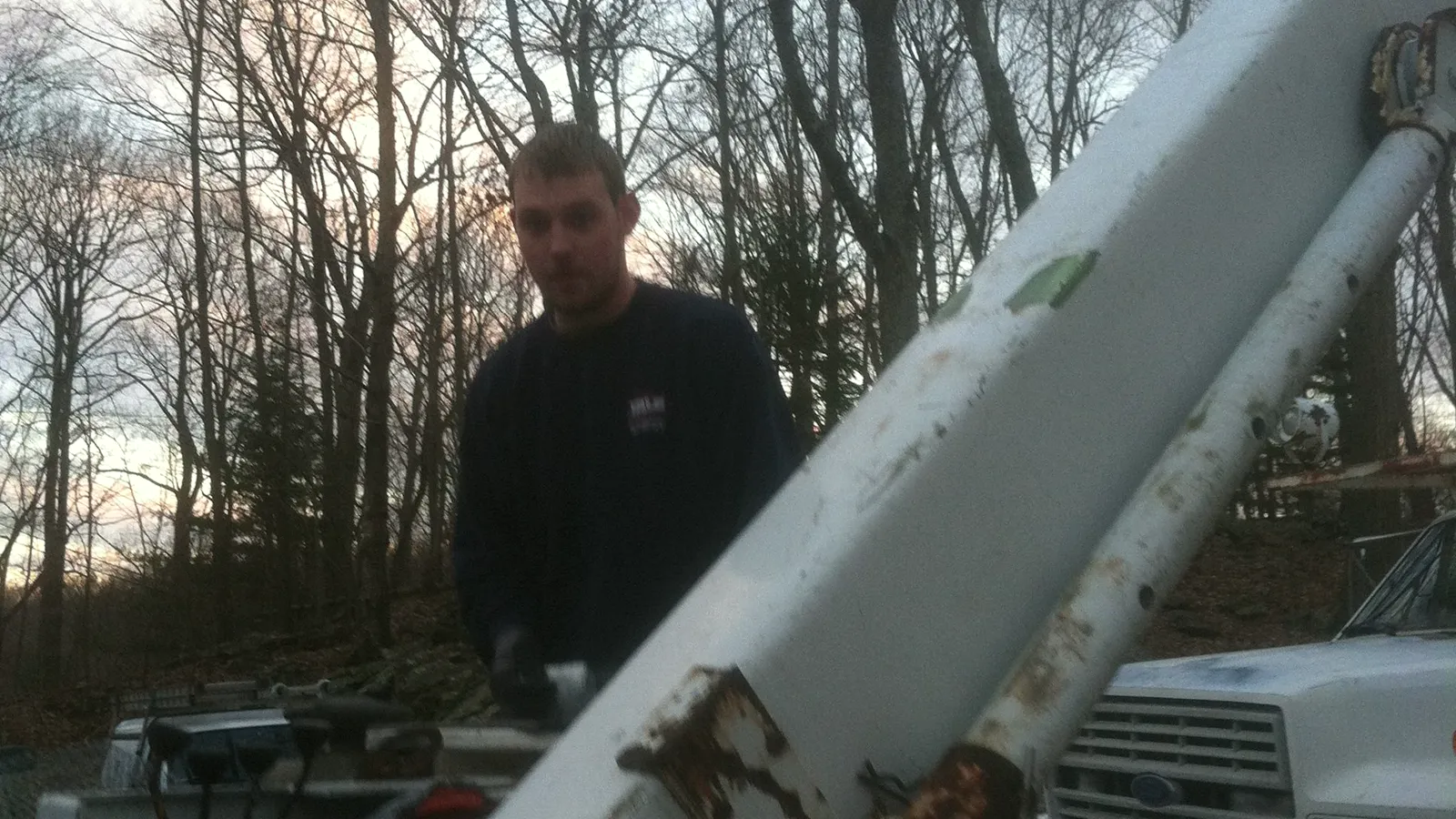 Anosnia pest control, Ansonia